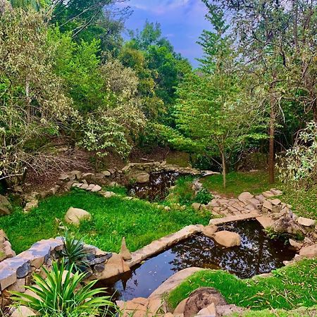 הוילה ואלינוס Rancho Ao Lado Da Laroc E Ame מראה חיצוני תמונה